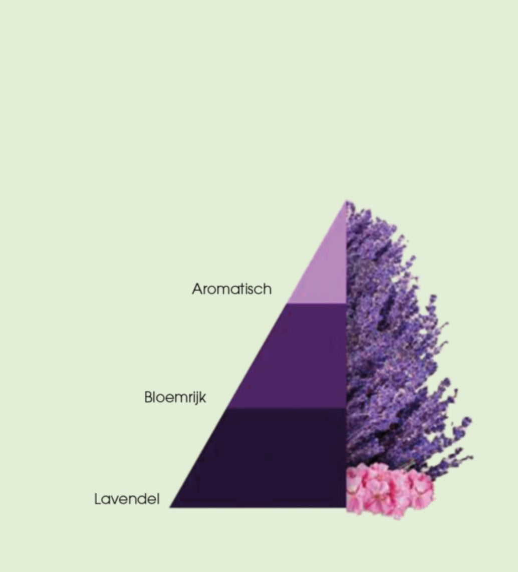 Parfum bij de was Aromatic lavendel
